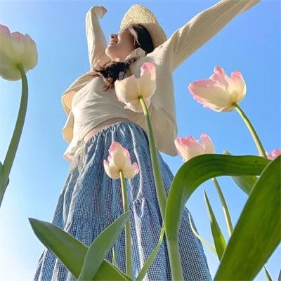 红白黑黄第八季